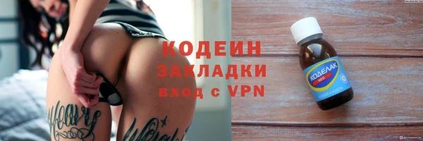 крисы Новокубанск