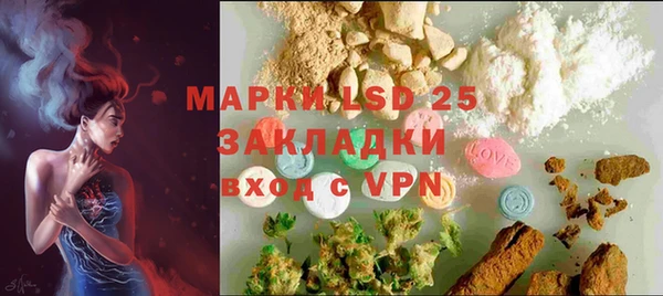 твердый Новодвинск