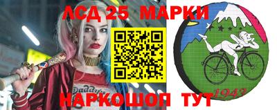 спиды Кандалакша