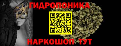 спиды Кандалакша
