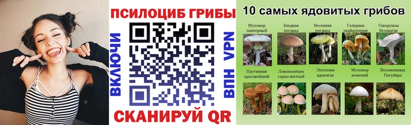 Галлюциногенные грибы MAGIC MUSHROOMS  ОМГ ОМГ tor  Сегежа 